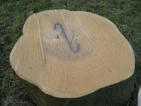 Trunk with S-hook inserted